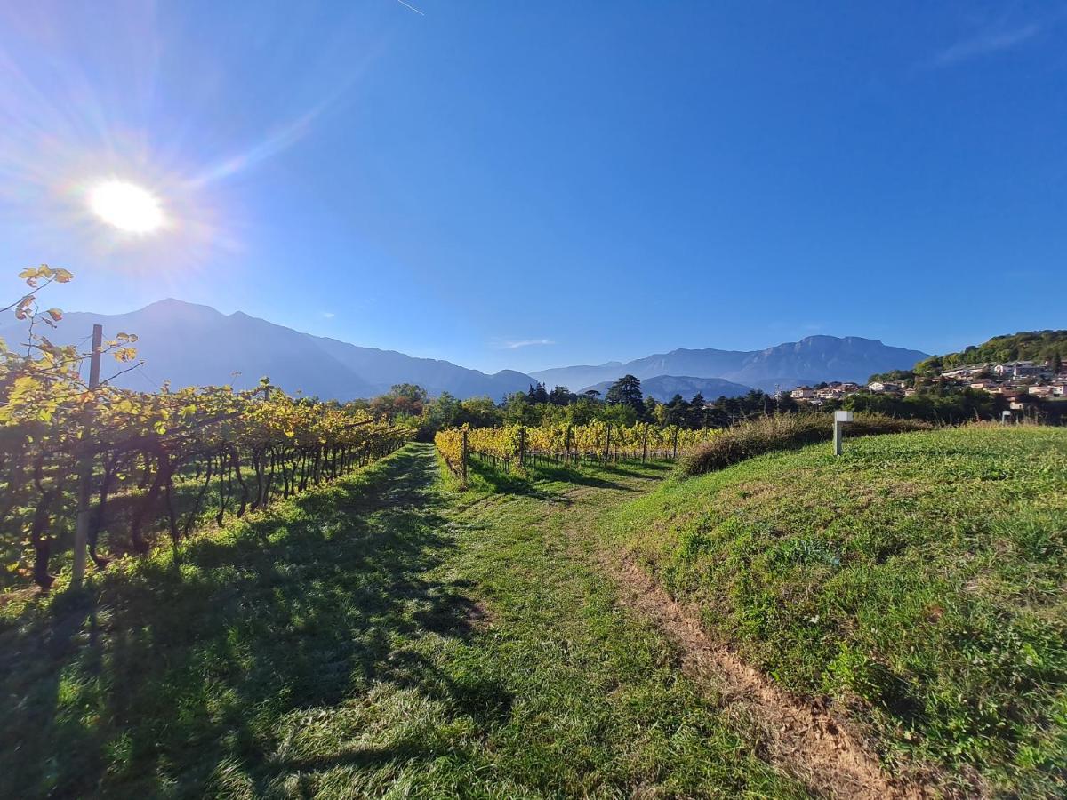 Villa Agritur Ponte Alto Trento Exterior foto
